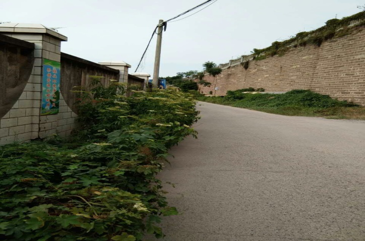 除草刷墻灑汗水，苗圃外貌換新顏