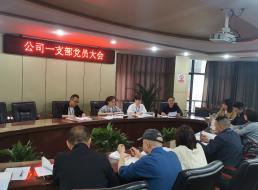 公司一支部開展 “學(xué)黨史、強(qiáng)信念、知黨恩、跟黨走” 黨史讀書交流會主題黨日活動